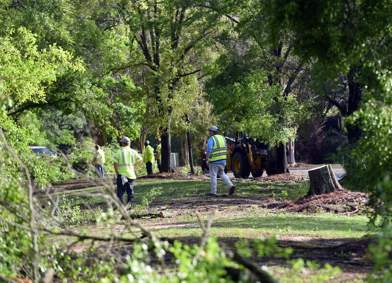 Possible tornado leaves mark on Dothan neighborhood